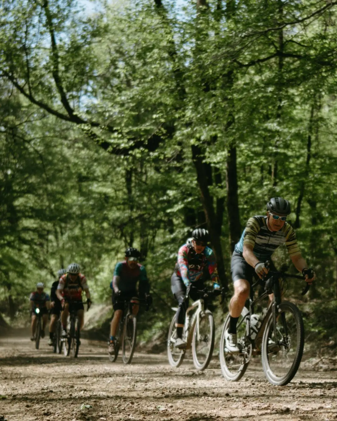 Gravel cyclists riding through Delta forest trails