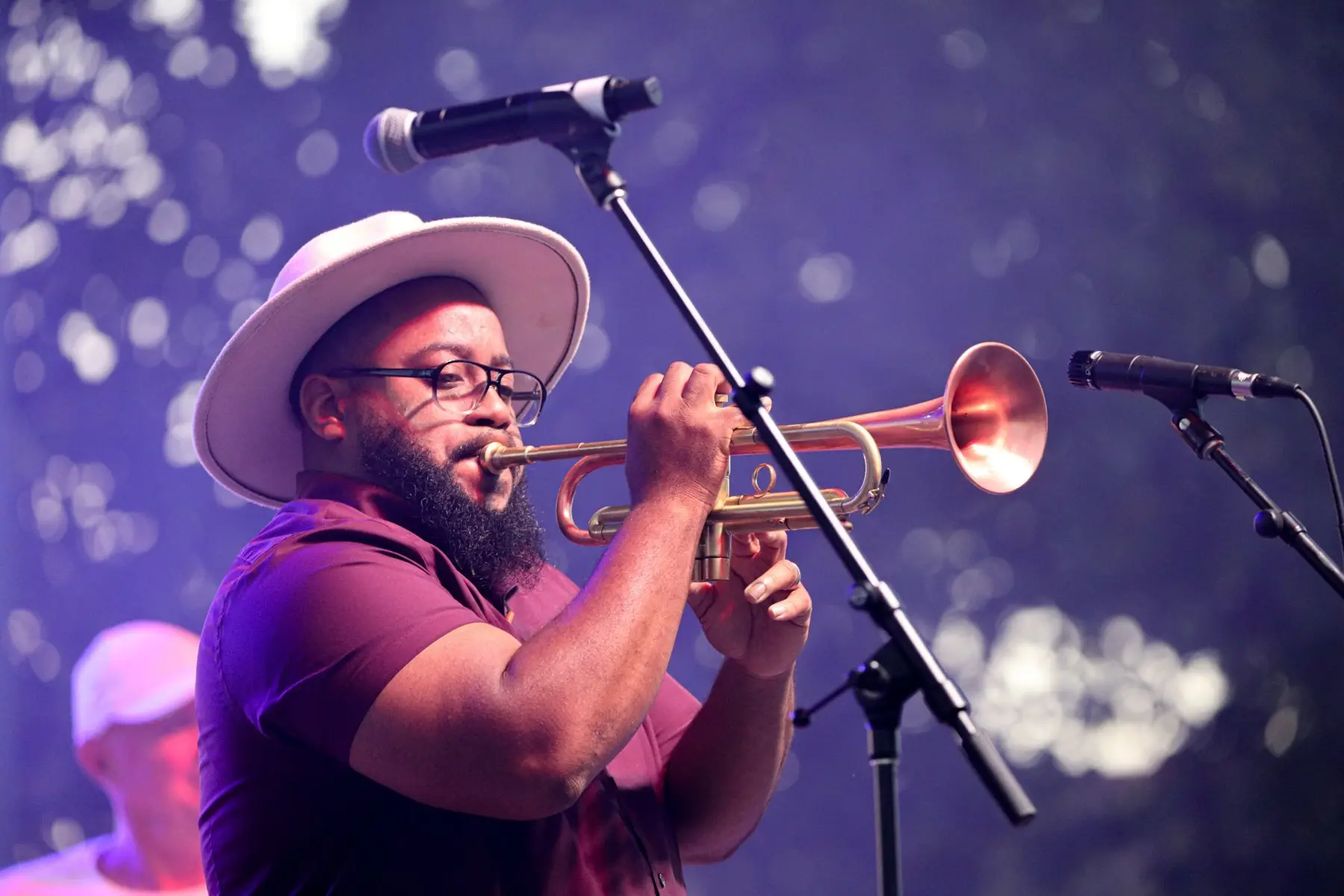 Warfield Concert Series 2026