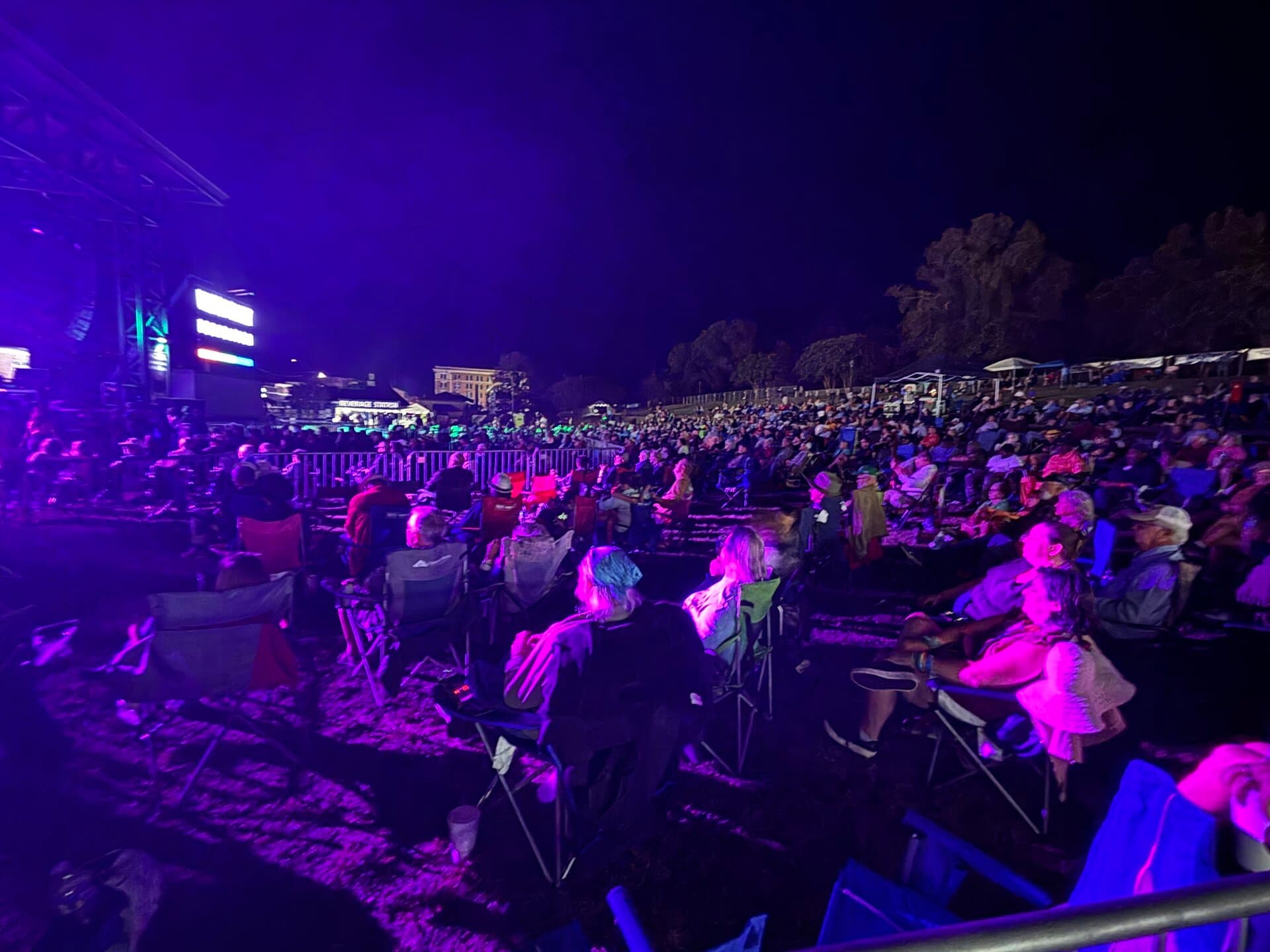 Crowd at the King Biscuit Blues Festival in Helena
